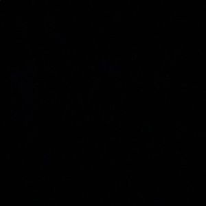 Meet your Posher, Chad